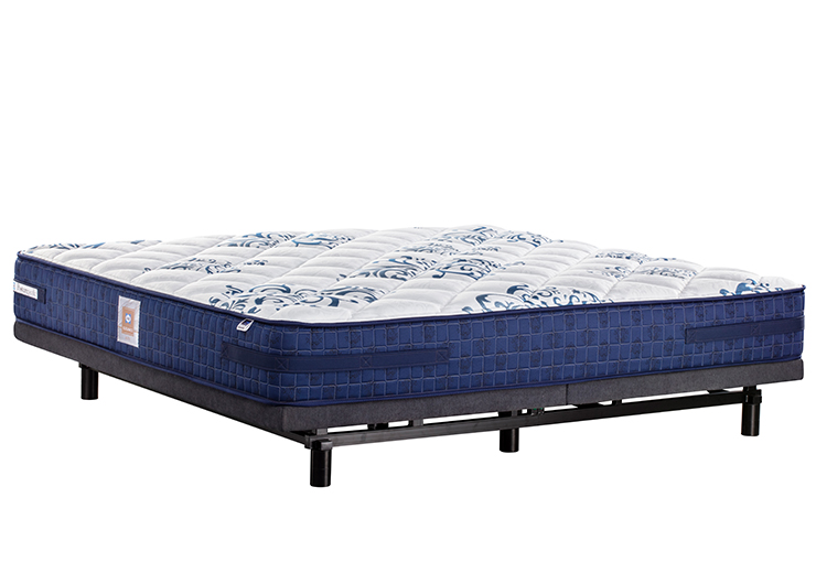 54634563_0002_IMG_5247