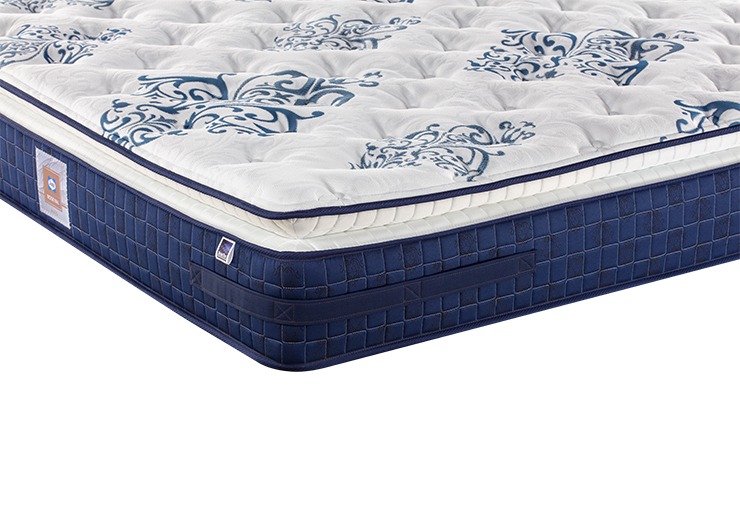 未标题-3_0000_Halo_008 2