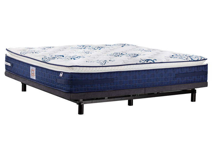 未标题-3_0002_Halo_001